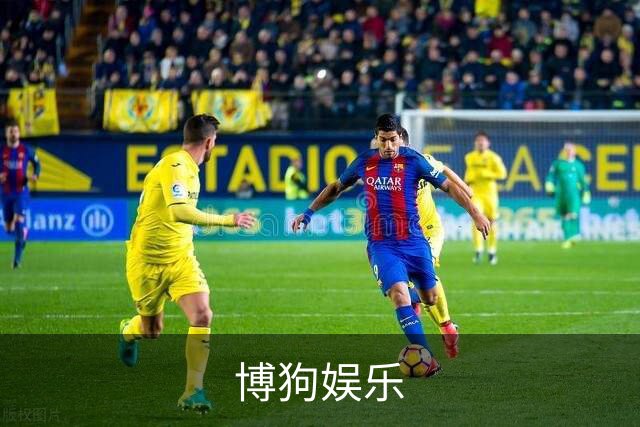 关于博狗娱乐